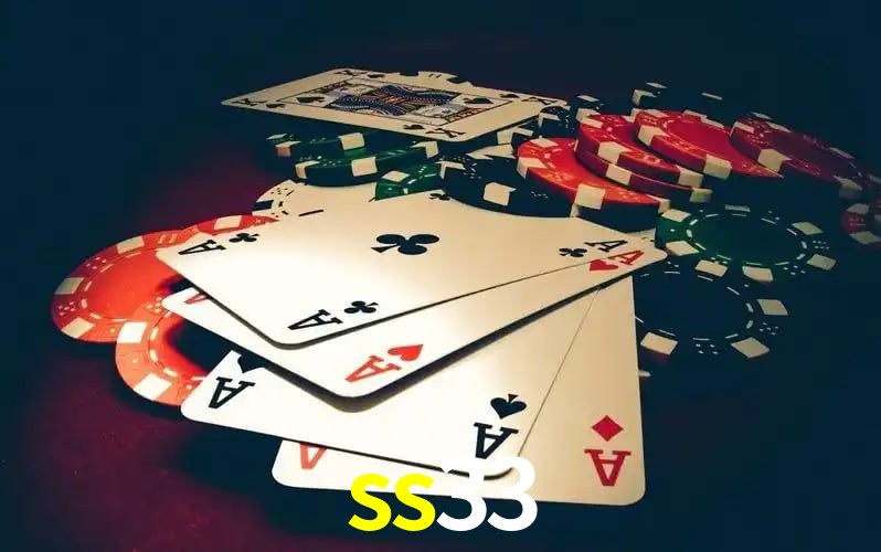 ss33
